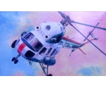 Mi-2 Polizei 1:72 D153